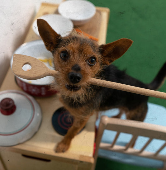 Individueller Ernährungsplan für gekochte Rationen