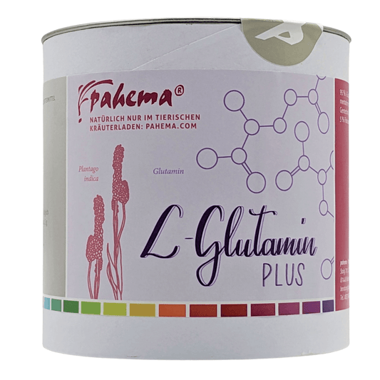 L-Glutamin Plus Pahema 150 g