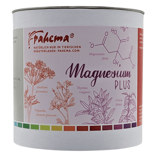 Magnesium Plus Pahema 250 g