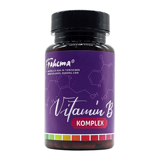 Vitamin B Komplex Kapseln 150 Stück Pahema