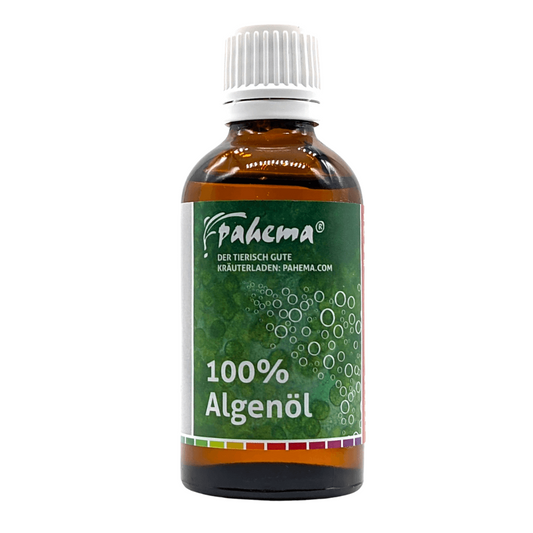 Algenöl 50 ml die Vegane Alternative