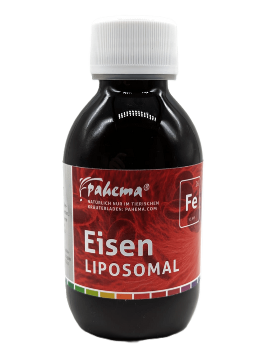 Pahema Eisen liposomal zur Eisenversorgung 150 ml