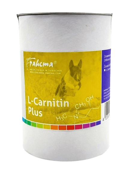 L-Carnitin Plus 125 g für den Energie- und Fettstoffwechsel