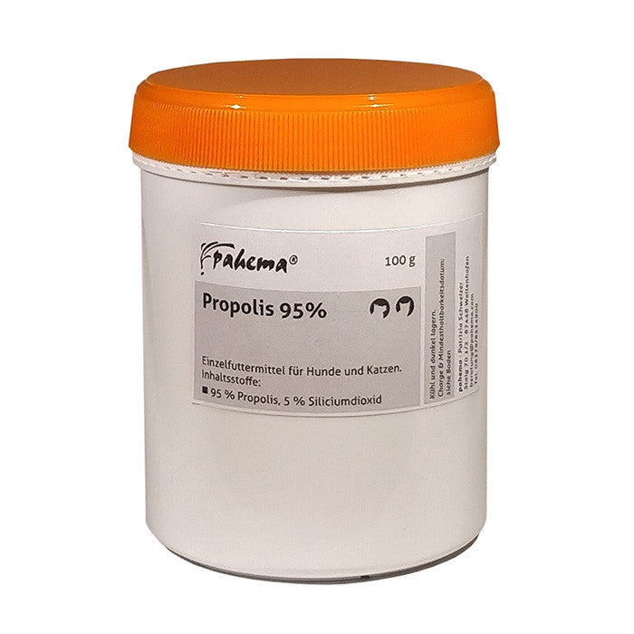 95% Propolis Pulver 25 g