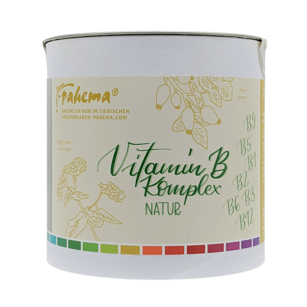 Vitamin B Komplex Nature 125 g Pahema