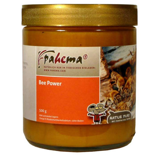 Bee Power 500g